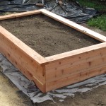 Building a planter box and planting fruits and veggies